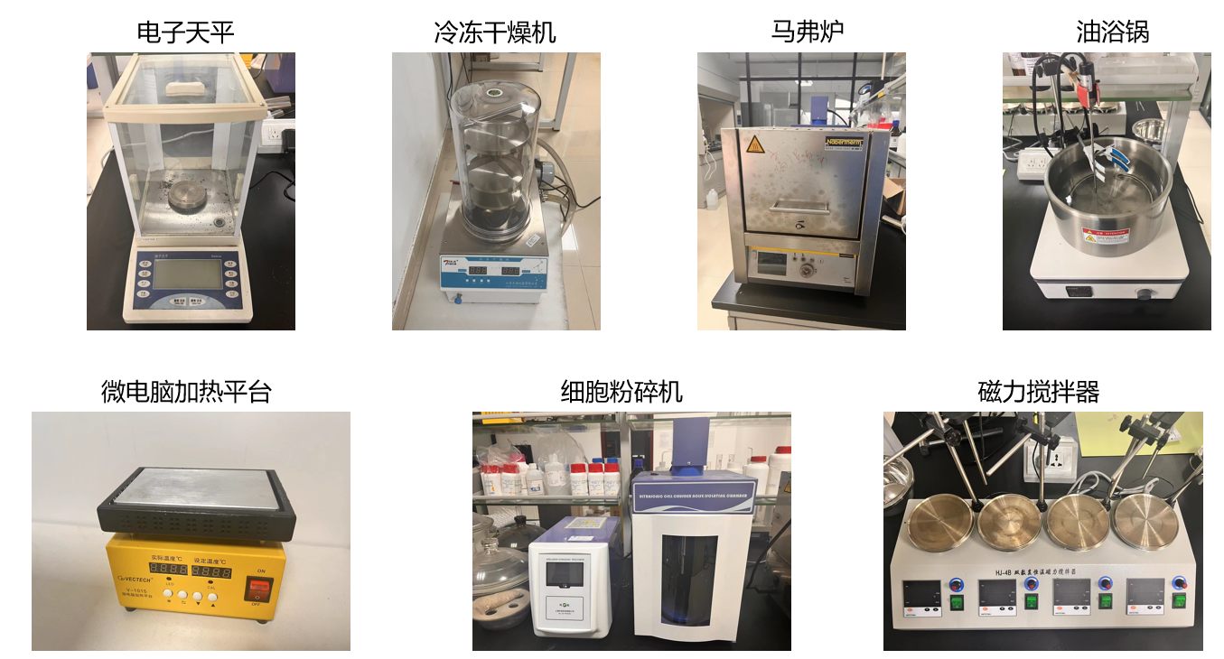 2025年2025澳门原料网站
