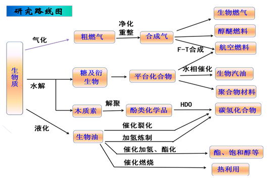 2025年2025澳门原料网站