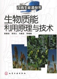 2025年2025澳门原料网站
