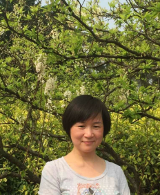 2025年2025澳门原料网站
