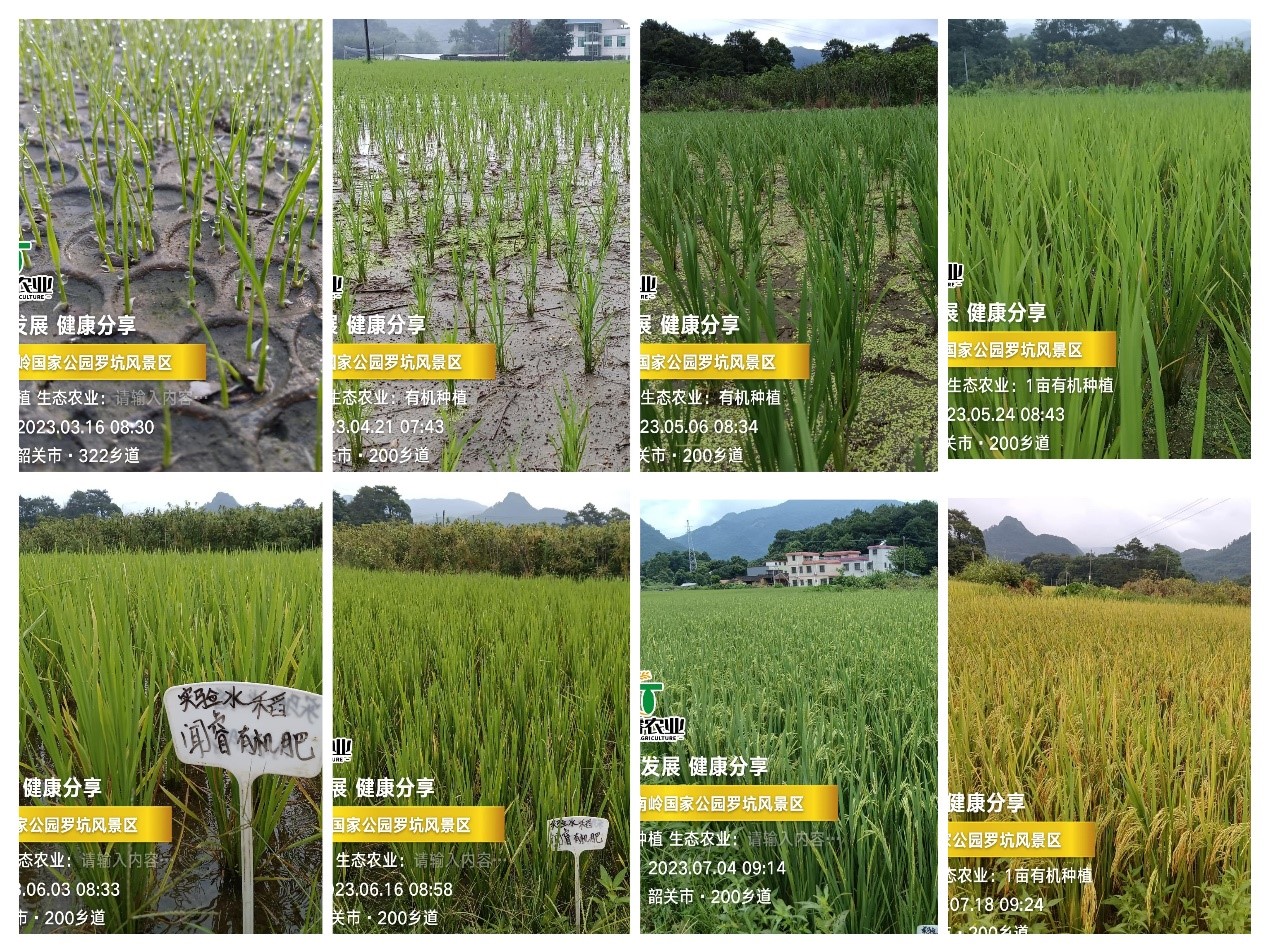 2025年2025澳门原料网站