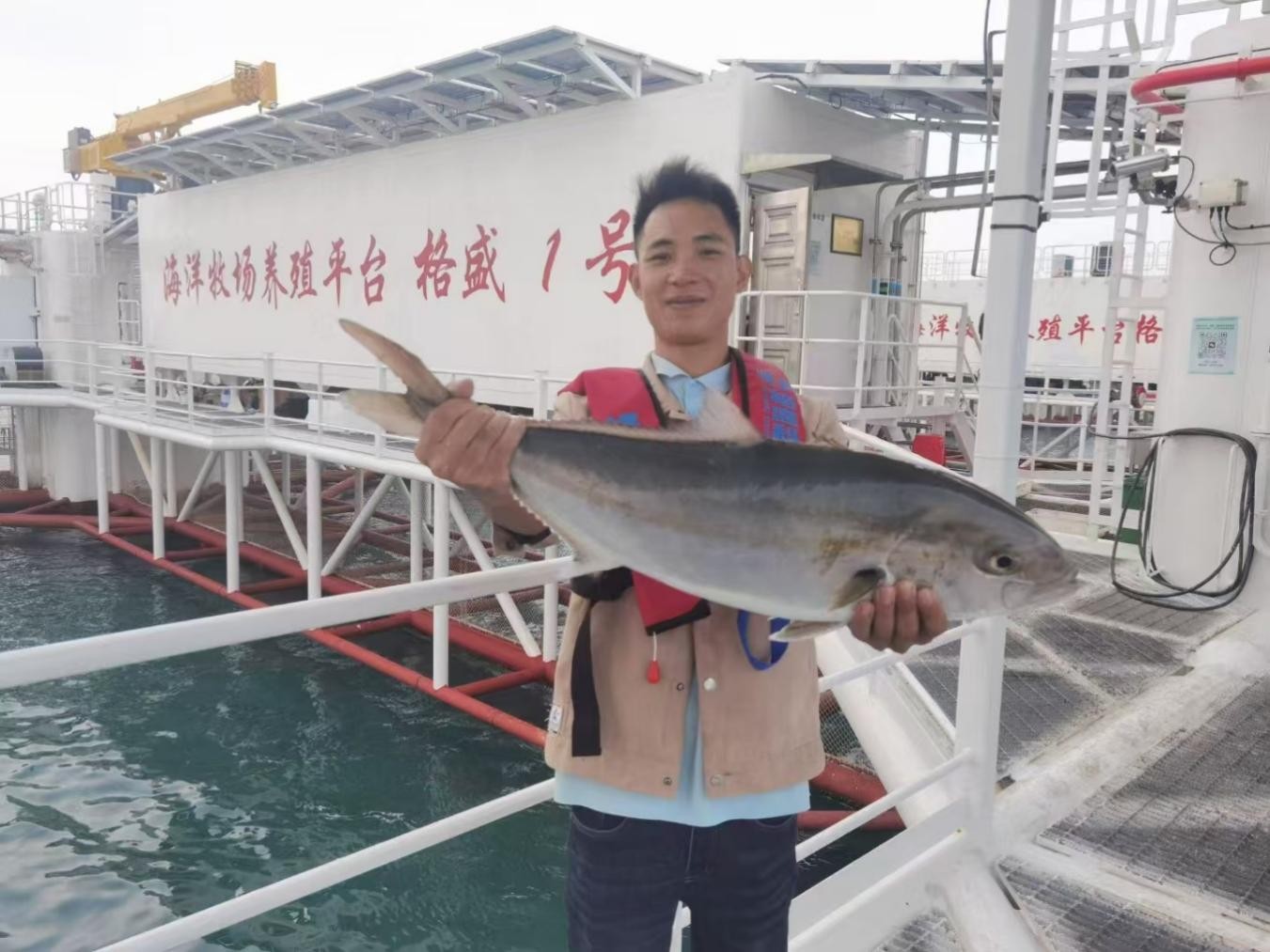 2025年2025澳门原料网站