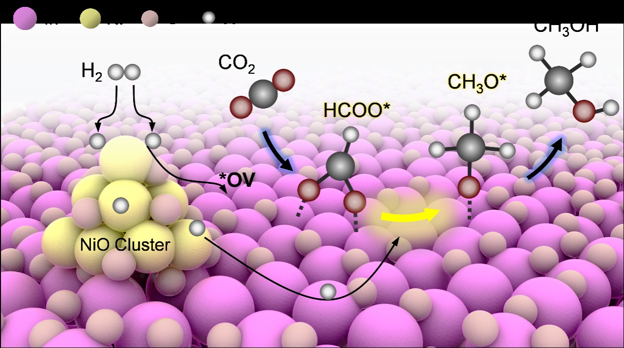 2025年2025澳门原料网站