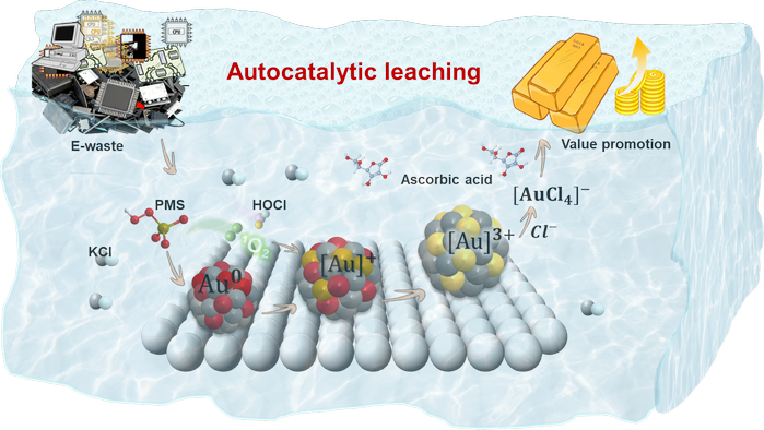 2025年2025澳门原料网站