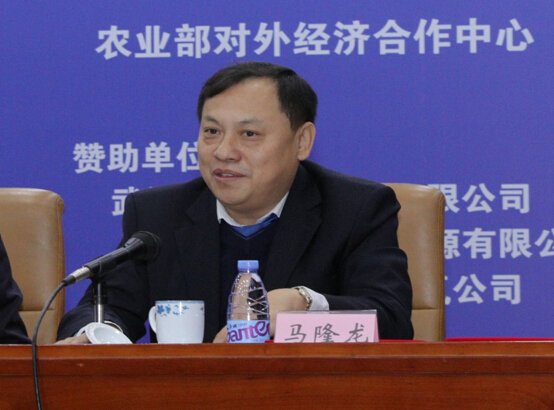 2025年2025澳门原料网站