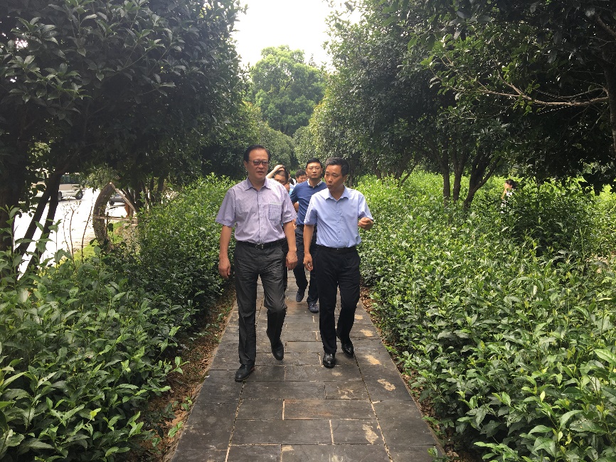 2025年2025澳门原料网站