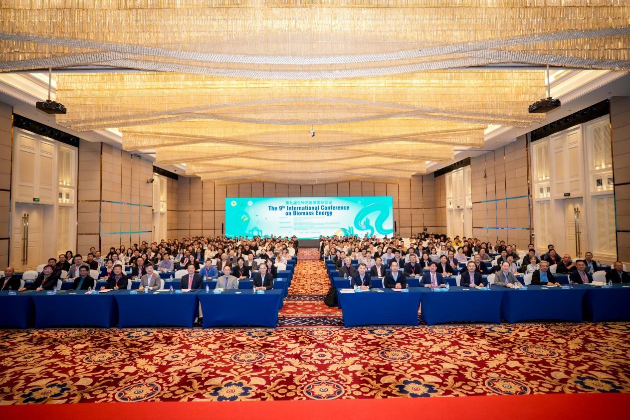 2025年2025澳门原料网站