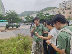 2025年2025澳门原料网站