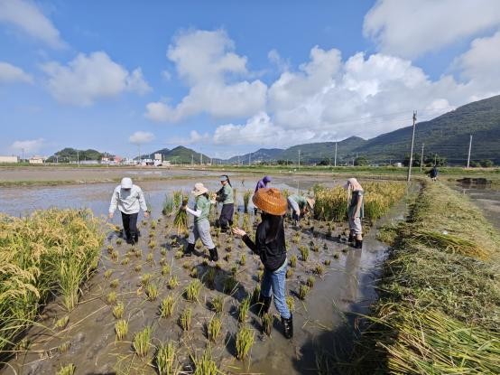 2025年2025澳门原料网站