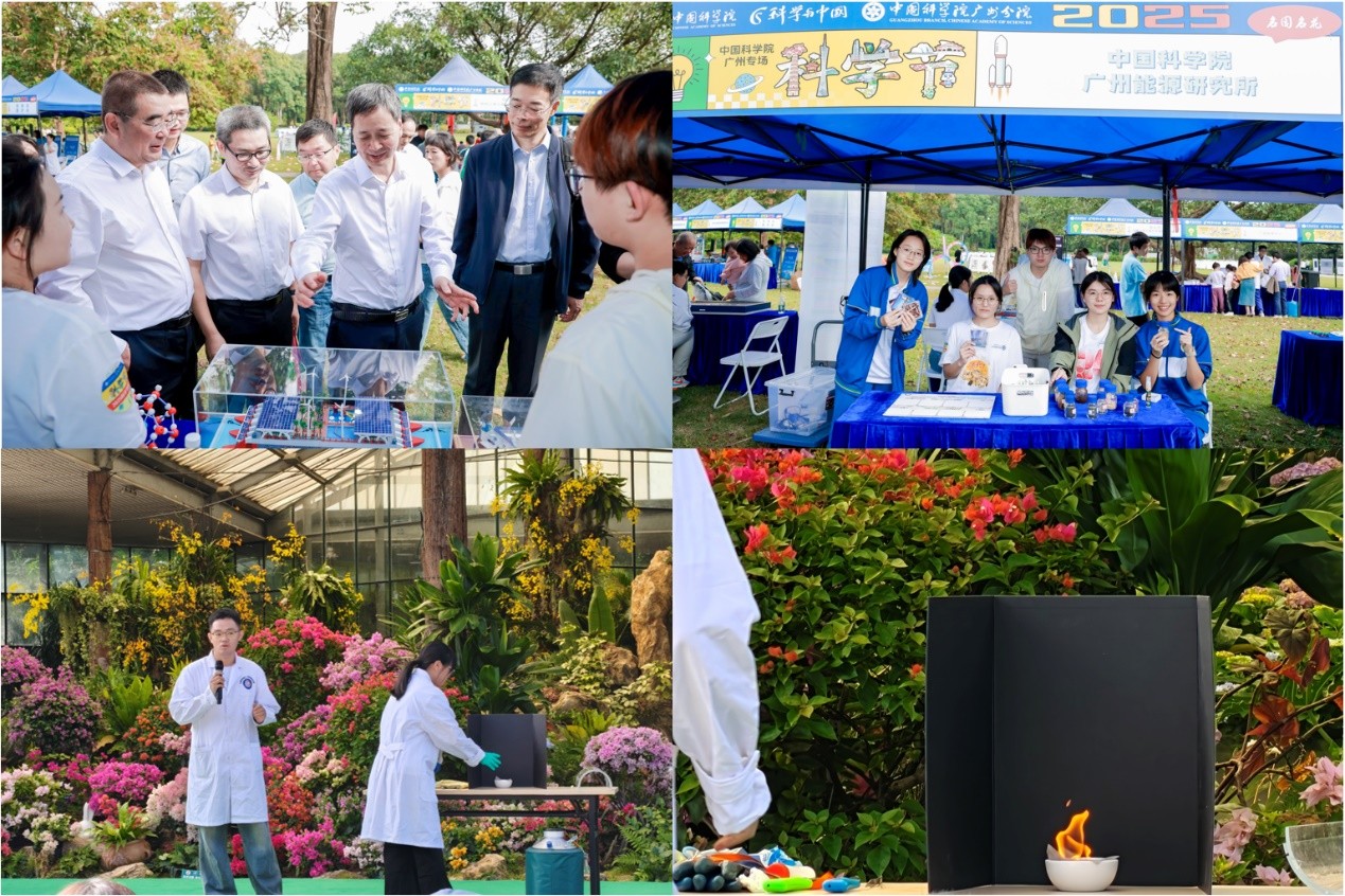 2025年2025澳门原料网站